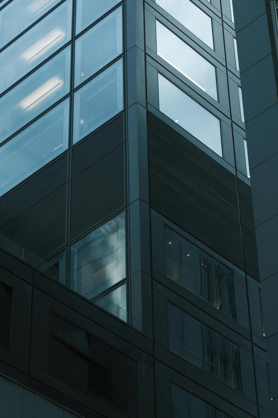 A sunlit glass walled family office in a New York high-rise, with city views visible through floor-to-ceiling windows.