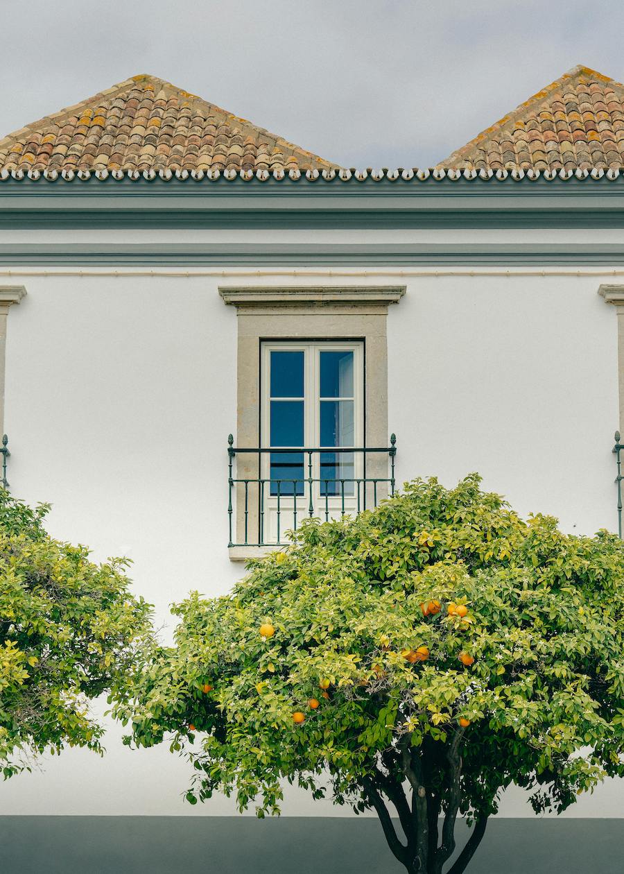 Property & Estate Operations Director