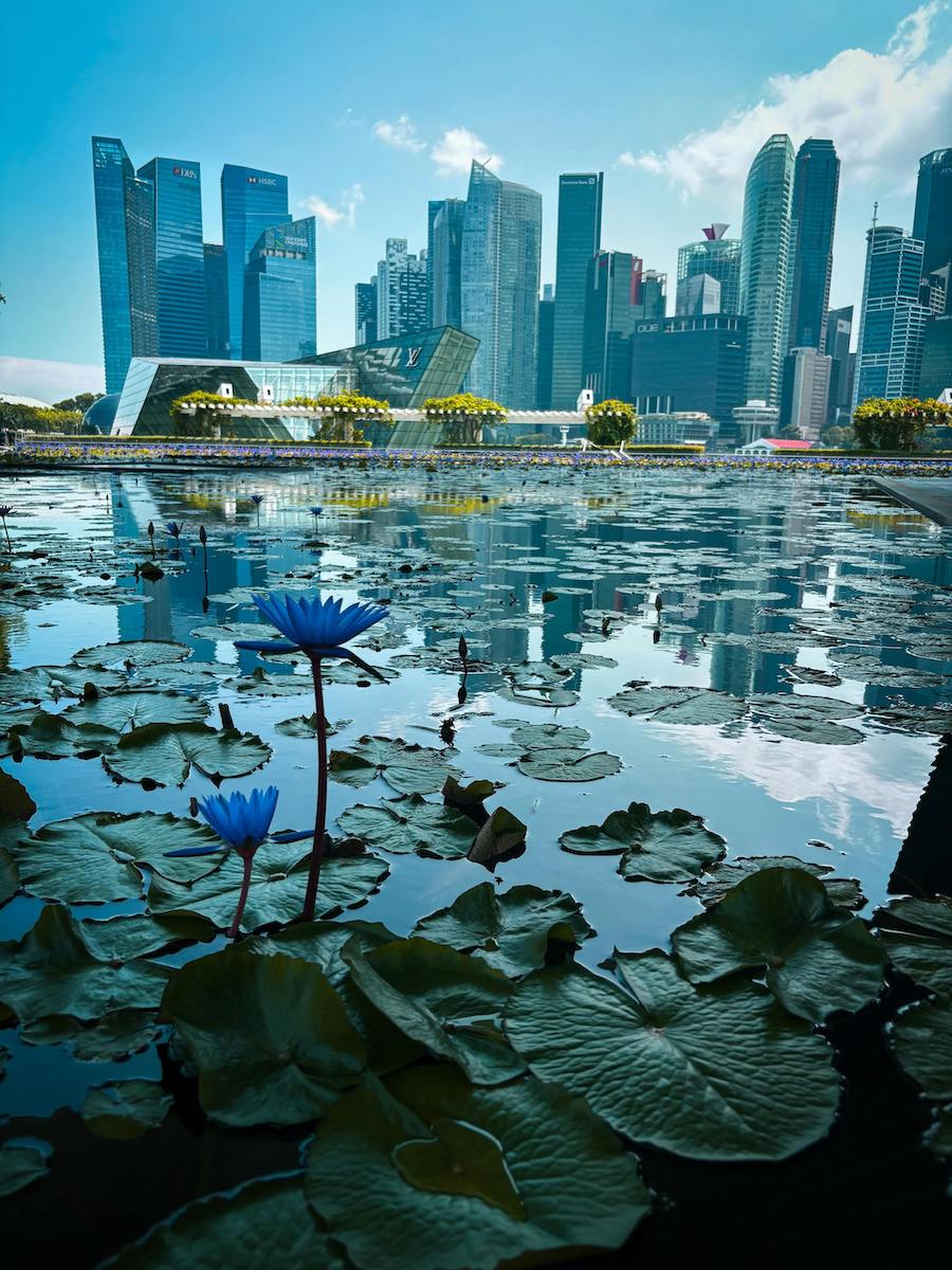 Eagle Private works across the principal family office markets: London, New York, Dubai, and Singapore.