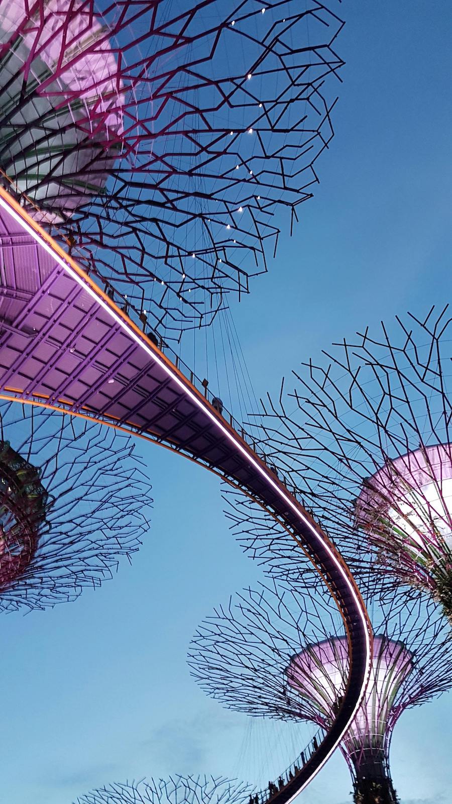 Singapore continues to be one of Asia's fastest-growing family office markets, supported by favourable regulatory frameworks and increasing concentrations of private wealth.