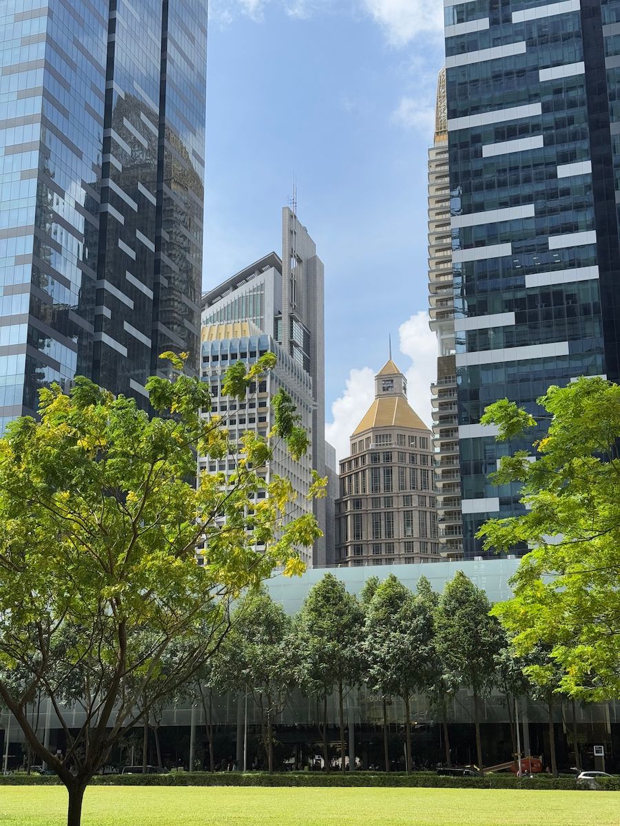 A Chinese family office in Singapore required a CIO to institutionalise its investment approach and oversee a growing global portfolio.