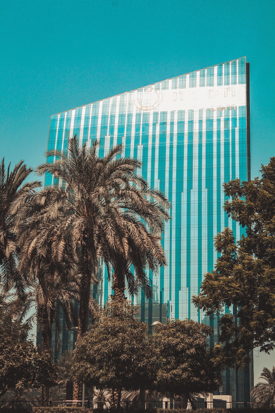 CEO / Head of Family Office